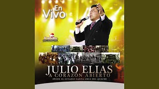Video thumbnail of "Julio Elías - Si No Fuera Por El Señor"