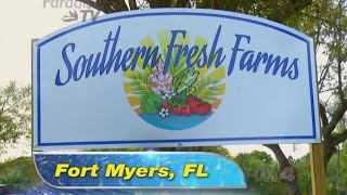 Southern Fresh Farms | Fort Myers FL