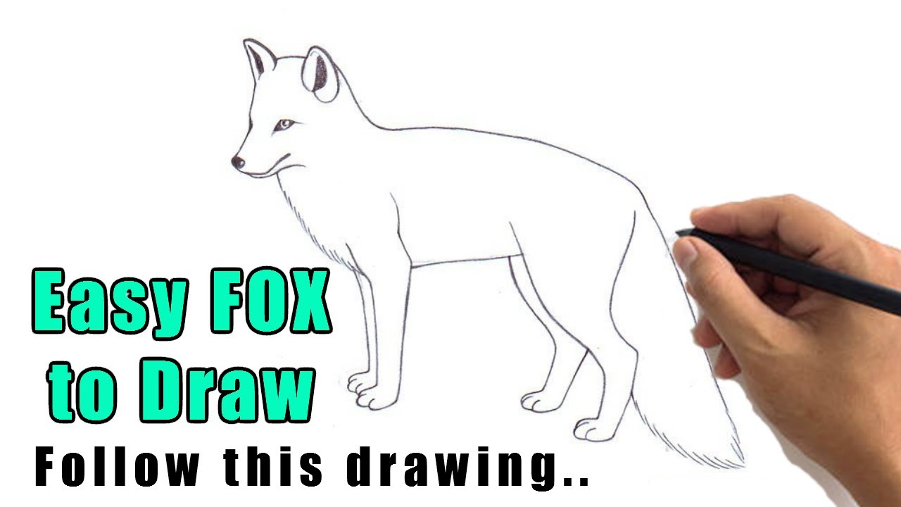 Featured image of post Drawing Ideas Cute Fox : Submit pictures, questions, or anything related to foxes.