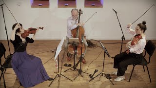 Eitan Steinberg: Talk Talk Talk (live) איתן שטיינברג