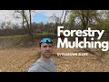 Forestry Mulching Overgrown Slope Between Two Properties | Before & After