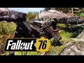 Ленивец, Зверожог и куча багов // Fallout 76