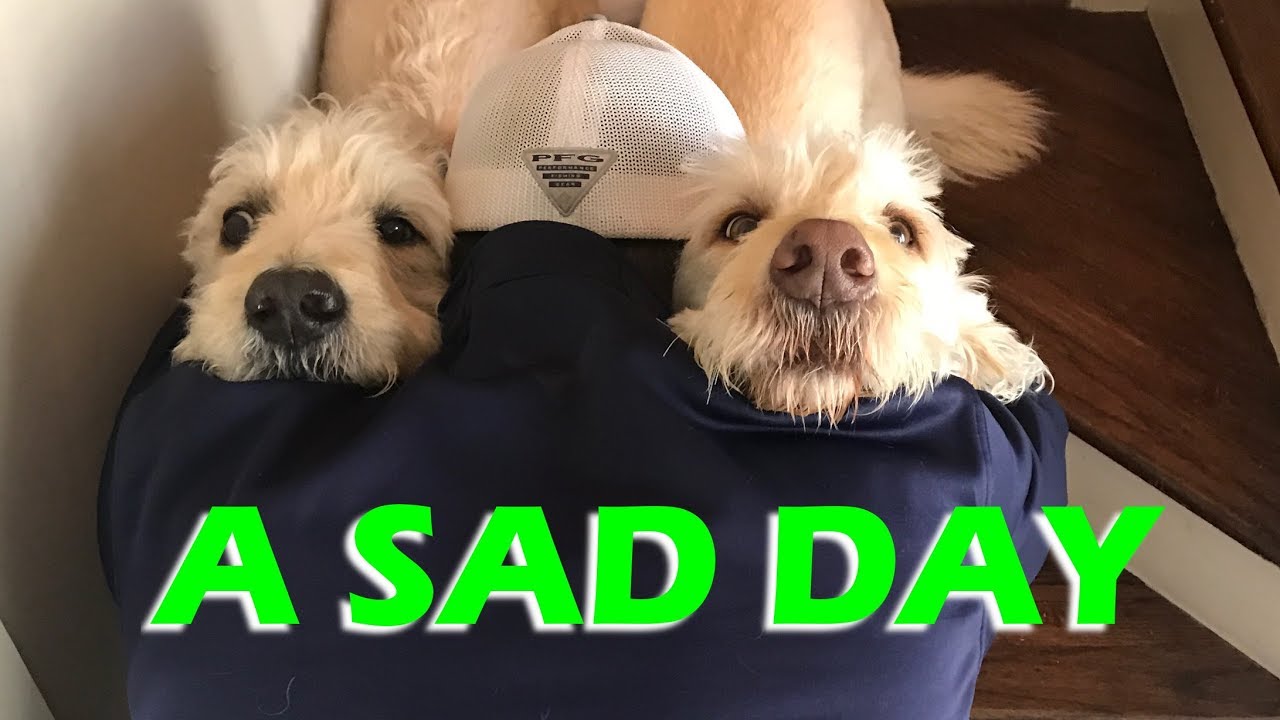 A Sad Sad Day – S2:E20
