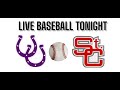 Live baseball  martins ferry  st clairsville