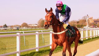 A Day at Warwick Racecourse