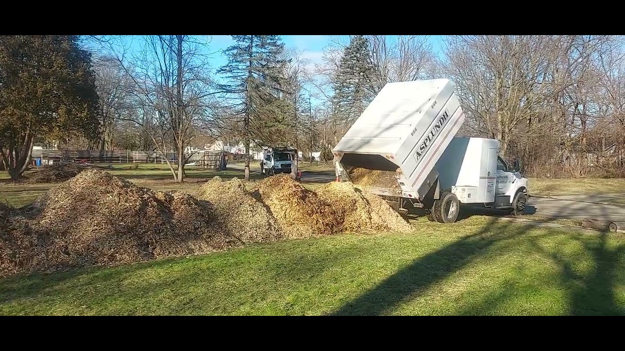 Free Compost Part 2 - YouTube