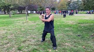 (Video #99) Dragon Style Kung Fu Instructional: Basic Power, Stances, Hand Techniques, and Footwork