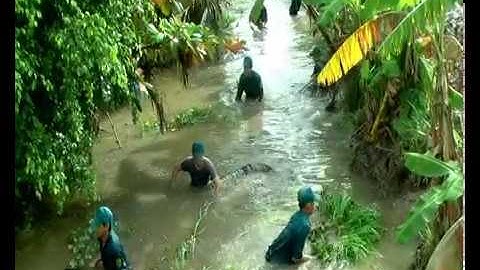 Lực lượng dân quân tự vệ huyện Vũng Liêm tham gia xây dựng nông thôn mới ở xã Trung Ngãi