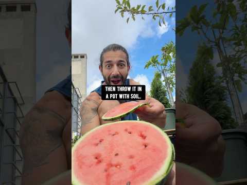 How to grow watermelons | creative explained