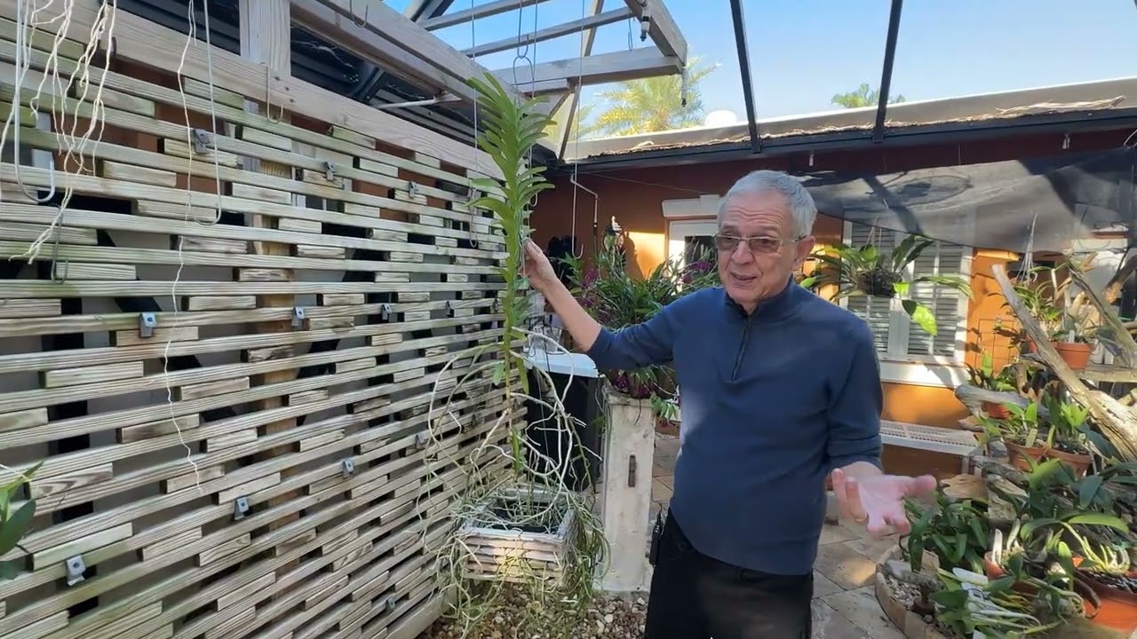 Temperature tolerance for orchids. Cold spell in Ft Lauderdale