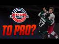 Can You Play Pro After ACHA Hockey?