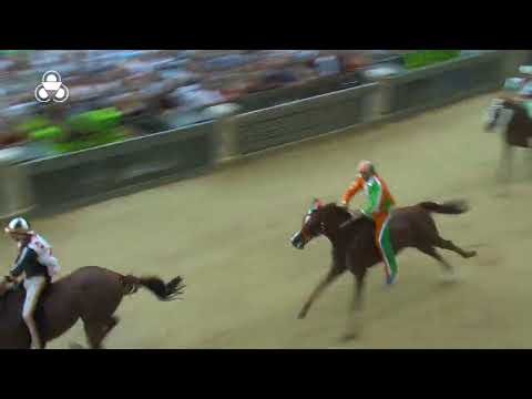 Video Palio di Siena agosto 2024