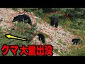 【総編集】過去最悪のクマ被害の年