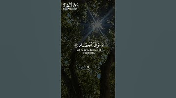 #سورة_البقرة ||حالات واتس قرآن ||القارئ#خالد_الجليل #تلاوة_هادئة #المصحف