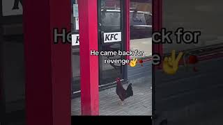 lol bro came back for revenge