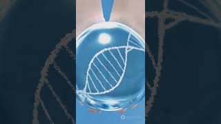 Bipedal DNA Walker: Revolutionizing Serotonin Detection #sciencefather #researcher