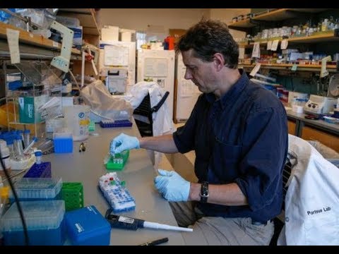 Genome Editing and CF: Matthew Porteus, MD, PhD