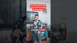 Download Lagu AYA DEUI LAGU #shorts #shorts #comedy MP3