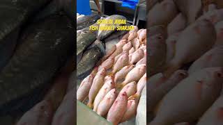 Souq Al Jubail Sharjah Fish Market 💯 Fresh #fishmarket
