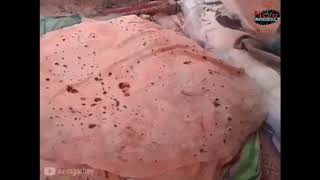 রুটি বানানোর আজব দৃশ্য screenshot 5