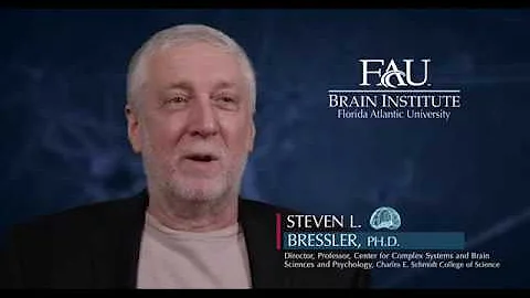 FAU Faculty Vignette  Steven L. Bressler, Ph.D.