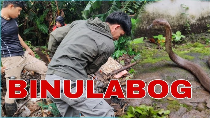 Ular kochada odamlarning oldida yechinishadi