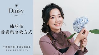 小雛菊花藝學校ep40生活花藝教學繡球花的養護與急救方式