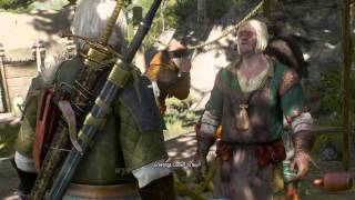 The Witcher 3: Meteorite ore and ingot merchant!