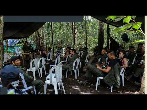 Cómo delinquen las estructuras financieras y logísticas de las Farc adentro y afuera de Colombia