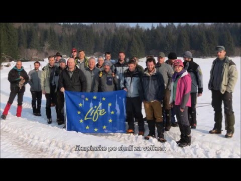 Video: Vodnik po olimpijskem narodnem parku