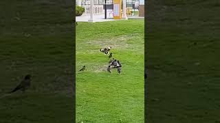 Not Only Us, They Also Have Some Different Opinions.....