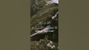 ماهر المعيقلي - سورة البقرة ( برواية حفص عن عاصم ) الأية 146 - 148
