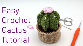Crochet this cactus with me