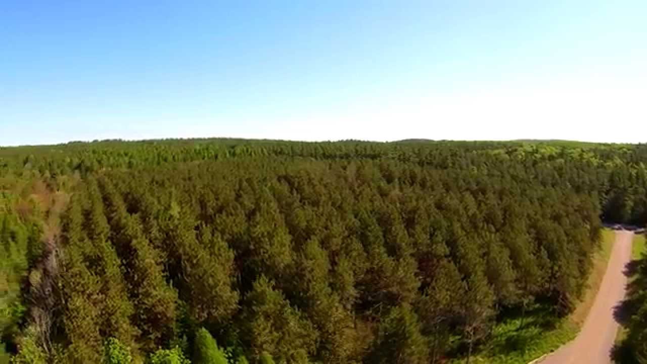 Cobourg Ontario Northumberland Forest Trail Head Beagle Club Road Blade