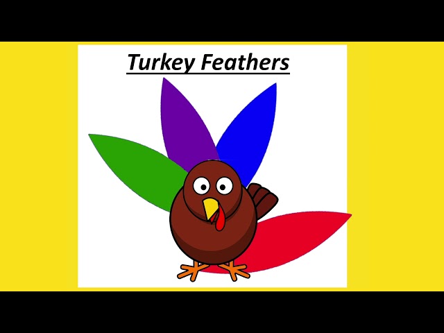 Turkey Feathers 