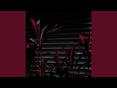 Fine Place — It's Your House