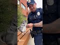 Cop arrests chinchilla #funny #militaryeverything #funnypolice #cops #funnyvideos