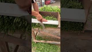 One Press, One Push Uniform Veggie Cuts