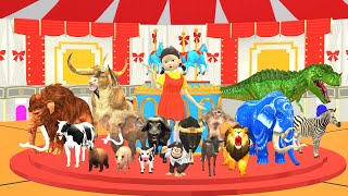 Animals vs Squid Game Doll Mingle Game, Round and Round Save Cow Tiger Gorilla Guess the Right Door