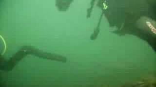 Camping and Diving in Cornwall