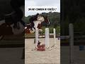 Combien de foules   cheval horse equitation jumping equestrian