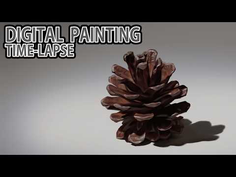 [デジタル画タイムラプス] 2時間30分で描くリアルな松ぼっくりのメイキング | Digital Painting Time Lapse