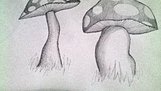 mushroom pencil drawing drawings draw paintingvalley
