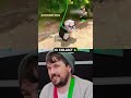 Press X to Collect Bugs