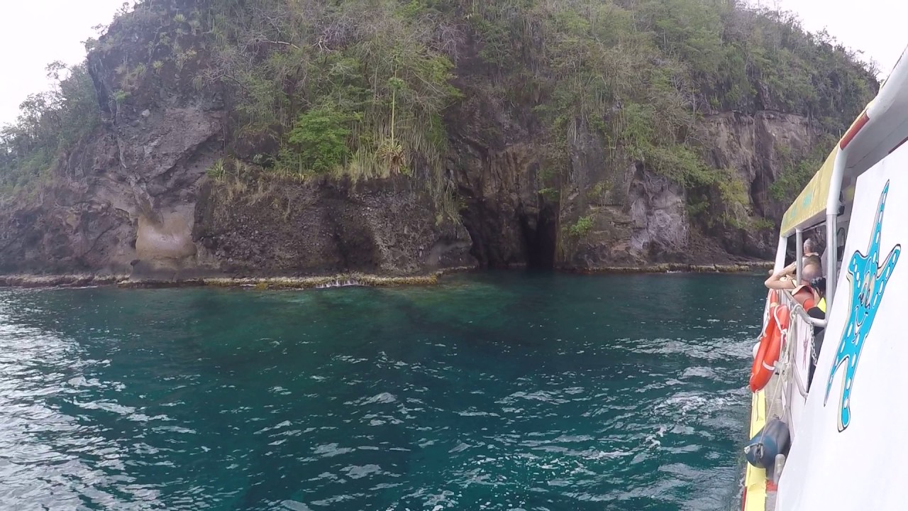 Martinique Bat Cave 1 YouTube