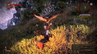 Raso4 Video 1