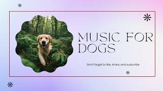 2 HOURS of Dog Relaxing Music 💖🦮 Long Relaxing Music Session for Calm Dogs