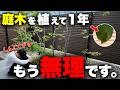 安易に庭木を植えまくった末路。1年住んで分かった「4つの現実」【新築外構】【家づくり】