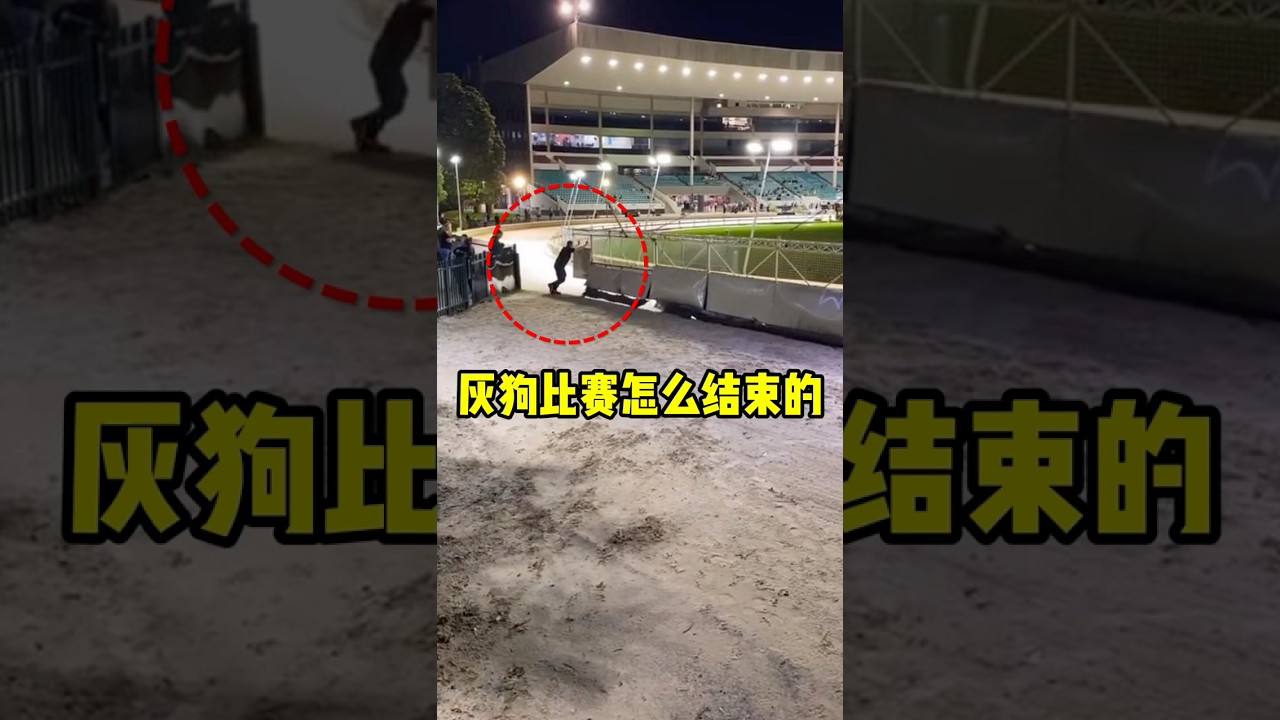 他的工作只有15秒，但失误会造成大伤害！#shorts #短视频 #趣事 #有趣