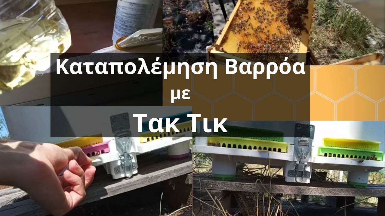 Καταπολέμηση βαρροα με Τακ Τικ